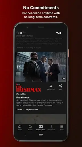 94Fbr Netflix screenshot