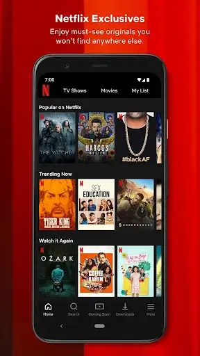 94Fbr Netflix screenshot