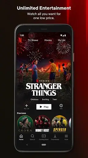 94Fbr Netflix screenshot