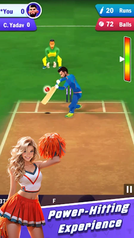 King of Cricket Game screenshot