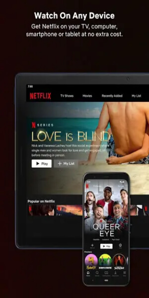 Netflix Premium screenshot