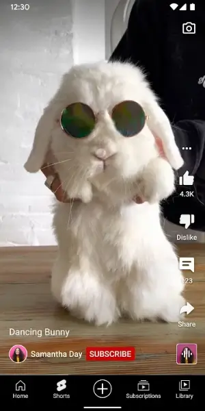 YouTube Premium screenshot