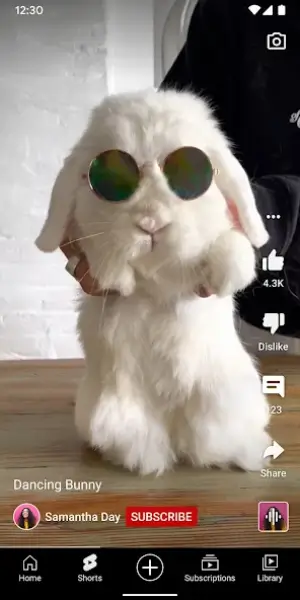 YouTube ReVanced screenshot