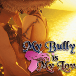  My Bully is My Lover