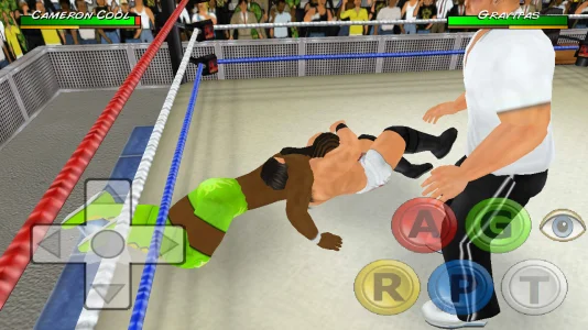 Wrestling Revolution 3D screenshot