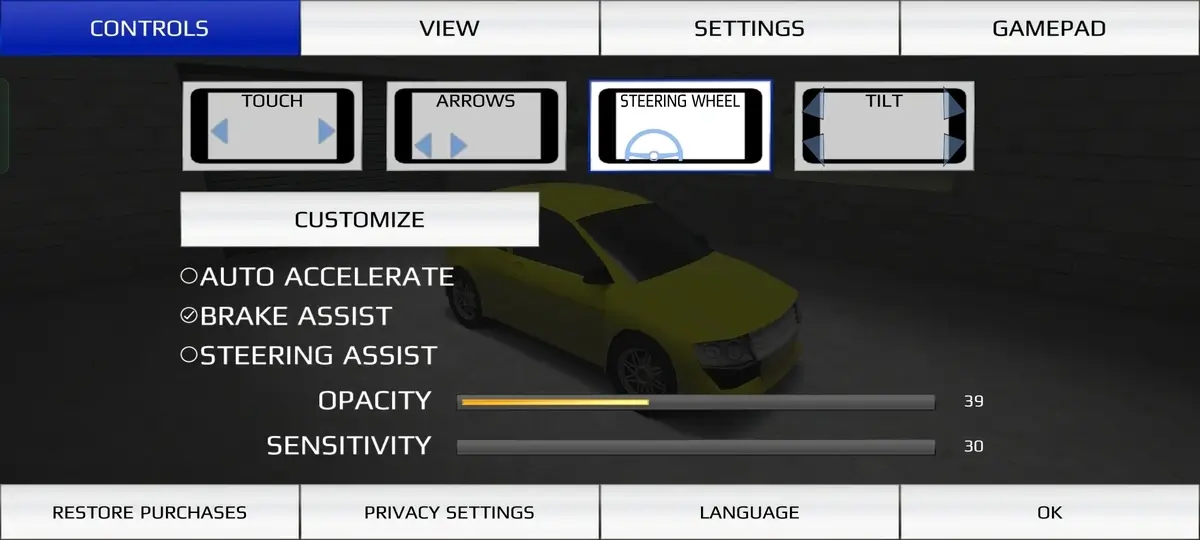 Rally Fury screenshot